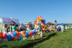 День поля на Смоленщине - 37