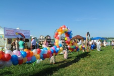 День поля на Смоленщине - 37