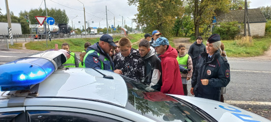 в Смоленском районе сотрудники ГИБДД провели акцию «Знакомство с инспектором ДПС» - фото - 3