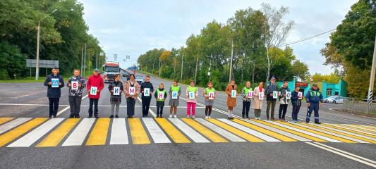 в Смоленском районе автоинспекторы организовали акция «Внимание, пешеход!!!» - фото - 3