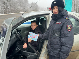«пристегнись!» — профилактическая акция Госавтоинспекции - фото - 2