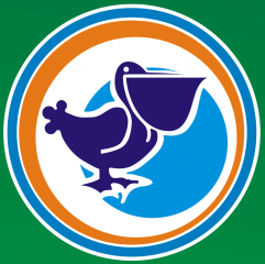 муниципальный конкурс «Педагогический дебют – 2025» - фото - 13